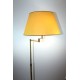 Stehlampe aus Messing, schwenkbar, 1960er