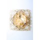 Helena Tynell Wand oder Deckenlampe, 1950er